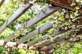 Check spelling or type a new query. 11 Pergola Designs Ideas Better Homes And Gardens