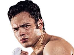 Discuss what it was like growing up the son of a legend, and the pitfalls that befell his father in life after hanging up the gloves. Julio Cesar Chavez Jr News Record Stats Next Fight Tickets