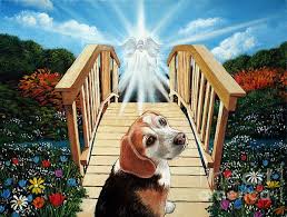 Check spelling or type a new query. Oil Painting Of A Dog Walking Over To The Other Side On The Rainbow Bridge To A New Eternal Life It Was A Commissioned Wor Rainbow Bridge Dog Heaven Dog Poems