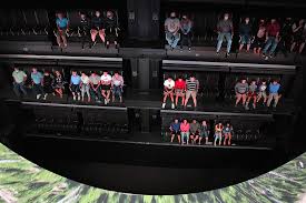 Latest water product from zapata, flyride® enables you to fly and slide on the water, providing new sensations. Wilderness Resort Opens Flyride Theatre Park World Online Theme Park Amusement Park And Attractions Industry News