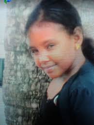 Twins in tribute to accident victim