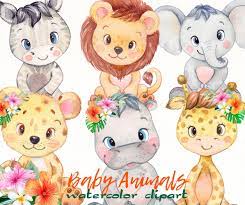 Safari Animals Clipart Watercolor Baby Jungle Elephant Zebra Hippo Lion Leopard Giraffe Tropical Baby Shower Birthday Party Set Png In 2021 Animal Clipart Clip Art Animals