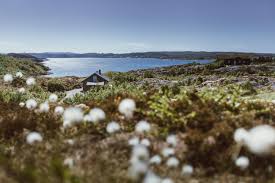 2,119 likes · 196 talking about this · 47 were here. Visiting Hitra Froya Fjellvaersoya Norway Heart My Backpack