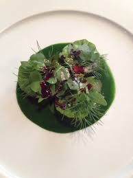 We did not find results for: A Review Of Massimo Bottura S Great Book Never Trust A Skinny Italian Chef Food And Wine Gazette