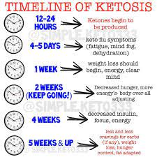 And now, you're ready to elevate your health (and ketones) through the power of a ketogenic diet. I Am New To Water Fast Does This Keto Diet Timeline Apply To Water Fasting As Well Fasting