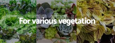 Check spelling or type a new query. Greenfingers Led Grow Light Kit Hydroponic System 1200w Full Spectrum Indoor 9350062154366 Ebay