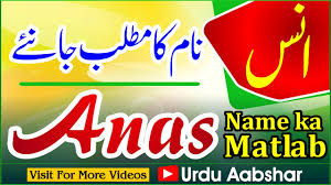 Anas Name Meaning In Urdu Anas Naam Ka Matlab Kya Hai Islamic Name Baby Names Boys Name Urdu Youtube