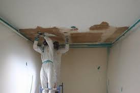 For Any Clarification Visit Our Website At Http Www Beasbestosremoval Com Au Asbestos Removal Popcorn Ceiling Janitorial Services