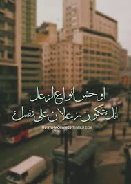 pin by ahmedaly aly on انا والناس funny quotes inspirational quotes life quotes