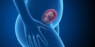 Buah ini banyak mengandung air dan rasa manis yang bisa dikombinasikan dengan berbagai jenis makanan. Hamil 21 Minggu Apa Yang Terjadi Pada Janin Dan Ibu Hamil