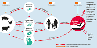 Nebenwirkungen Von Antibiotika Das Mussen Sie Wissen Stiftung Warentest