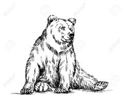 Stock Photo With Images Bear Drawing Grizzly Bear Drawing Grizzly Bear Tattoos