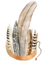 Image result for pióropusz indiański