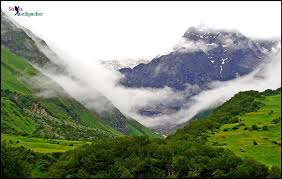 The winding trail passes through dense forests and goes uphill. Trek To The Valley Of Flowers