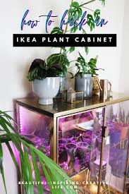 Maybe you would like to learn more about one of these? 20 Genius Practical Ikea Plant Hacks Diys You Need To Try Life