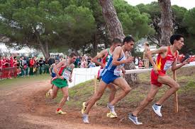 Events are held during the fall or winter months, and many amateur athletes use the sport as a means of keeping fit and developing stamina. European Cross Country Championships Wikipedia