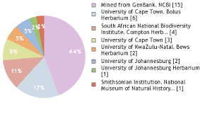 Image result for Lotononis laxa