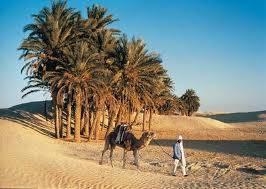 The mirage resort & spa is located in hammamet, 3.1 mi from yasmine hammamet. Tunesie Verkeersbureaus Info