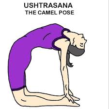 We did not find results for: Uncategorized Page 3 Hithamitha