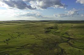 It is a vast land covered by many varieties of. Pampas An Overview Sciencedirect Topics