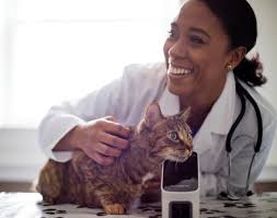 Opportunités d'emploi pour les Représentants de Ventes sur le terrain chez  IDEXX