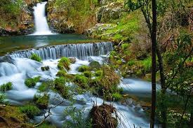 Endiprev fornece serviços na área da manutenção de parques eólicos. Mortagua Portugal Beautiful Places Portugal Landscape