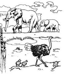 Print een olifant kleurplaat, simpel voor kids of moeilijke/mandala voor volwassenen. Kids N Fun 21 Kleurplaten Van Olifanten