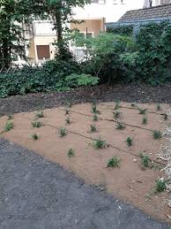 66in diesem film seht ihr verschiedene varianten für gestaltung im teichrandbereich. Kokosmatten Unkrautschutz Und Erosionsschutz Micorgreen Matten Hanf Kokos Als Anzuchtmatten Vlies