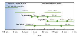 Particulate Organic Matter Wikipedia