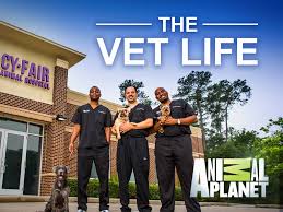 I just have to express my appreciation for gcvs once more. Watch The Vet Life Season 1 Prime Video