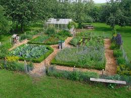Pin On Vegetable Gardening Layout
