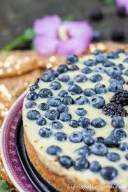 Blaubeer Pudding Kuchen Life Is Full Of Goodies Rezept Pudding Kuchen Kuchen Blaubeer Kuchen
