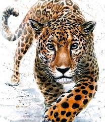 Jaguar Canvas Art Print 20x24 Home Decor White Leopard Watercolor Leopard Art Animal Canvas