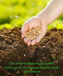 One Of The Healthiest Ways To Gamble Is With A Spade And A Package Of Garden Seeds Dan Bennett Growing Seeds Garden Seeds Sowing