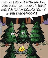 Evergreen Trees Discussing Christmas Christmas Humor Christmas Memes Christmas Jokes