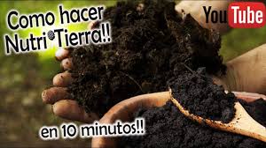 Como Preparar Nutri Tierra En 10 Minutos Para Sembrar Tierra Para Plantas Cultivo De Hortalizas Siembras