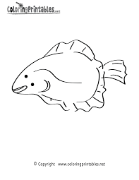 Coloring pages for kids fish coloring pages. Flounder Fish Coloring Page A Free Ocean Coloring Printable Fish Coloring Page Ocean Colors Flounder Fishing