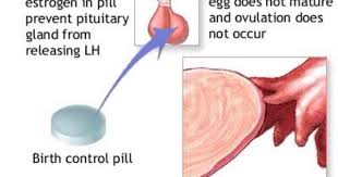 Birth control pills effectiveness rate when used perfectly, the birth control pill's effectiveness rate is over 99%. How The Pill Works Birth Control Pills Birth Control Pill