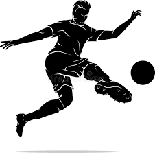 Image result for fotbal foarfeca