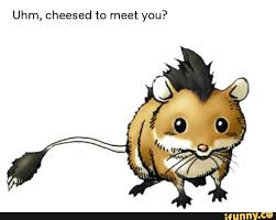 Uhm Cheesed To Meet You