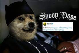 As musk tweeted just a photo of the spacex rocket with the moon in the background, he soon followed it with one word doge, as dogecoin price literally shot up on 'to the moon', as it surged 44% after. Snoop Doge Elon Musk S Tweet Has Dogecoin Stock And Memes Soaring