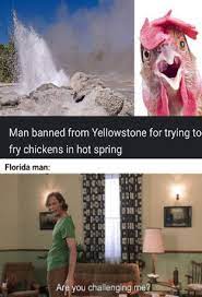 Meanwhile In America Memes
