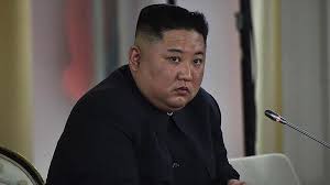 The tyrant believes the birds flying in from neighbouring china are carriers of covid. Kim Jong Un Apologizes For Killing S Korean Official