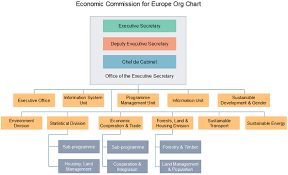 Ece Org Chart