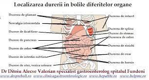 Maybe you would like to learn more about one of these? Durerile Abdominale In Partea Dreapta 0758 751 841 Clinica Gastroenterologie Bucuresti