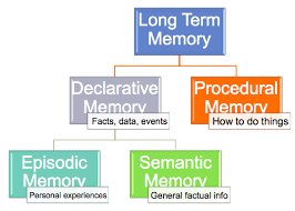 Psychology Memory Lessons Tes Teach