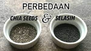 Check spelling or type a new query. Bedanya Chia Seeds Dengan Biji Selasih Youtube