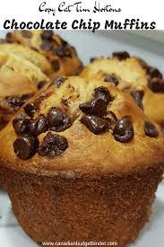 Copy Cat Tim Hortons Chocolate Chip Muffins Recipe Recipe Chocolate Chip Muffins Chocolate Chip Muffin Recipe Choc Chip Muffins