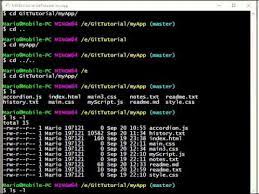 It is a powerful alternative to git bash, offering a graphical version of just about every git command line function, as well as comprehensive visual diff tools. Git Bash Windows Newmoo