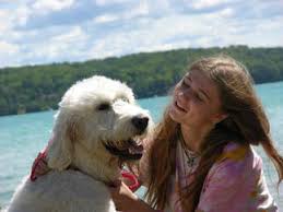 Check spelling or type a new query. Bokhara Pet Resort Williamsburg Elk Rapids Michigan